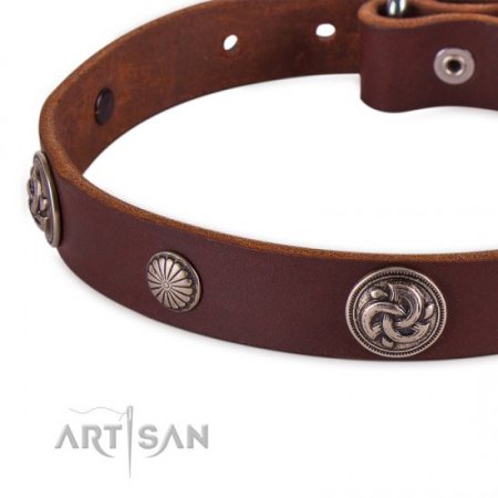 Fashionable Dark Brown Leather Dog Collar For Daily Walking