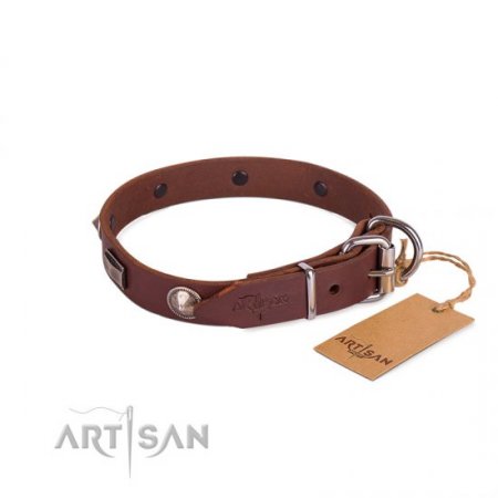 Premium Quality Dark Brown Studded Dog Collar FDT Artisan