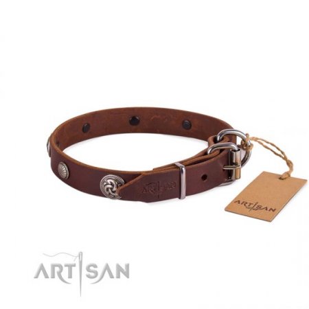 Fashionable Dark Brown Leather Dog Collar For Daily Walking