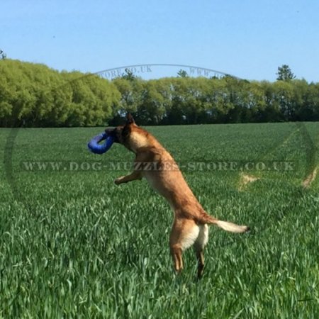 "Soft Bagel" Dog Training Bite Tug for Puppies