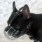 Best Muzzle for French Bulldog | Basket Muzzle for Frenchie