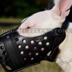 English Bull Terrier Muzzle for Attack Training, K9