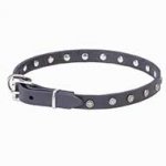 Studded Dog Leather Collars Collection