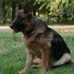 Designer Leather Dog Collar with Spikes for German Shepherd