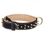 Soft Padded Leather Dog Collar | Luxury Spiked Dog Collar