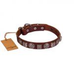 Luxury Brown Leather Dog Collar With Metal Buckle FDT Artisan