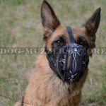 Best Dog Muzzle for Working Dog Training