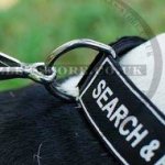 Nylon Dog Collar for Amstaff Training | Dog Training Collar K9
