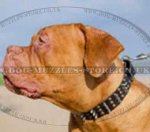 Dog De Bordo Collars UK Spiked-Studded Luxury Design