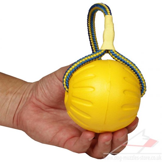 Rubber Dog Ball on Rope Online