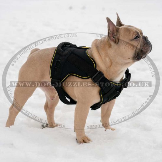 Soft & Light French Bulldog Walking Body Harness with Handle