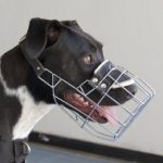 Wire Dog Muzzle for Pit Bull Terrier | Wire Muzzle for Pitbull