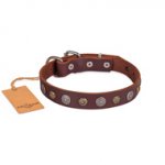 Adorned Brown Leather Dog Collar For Dogs 1 In Width