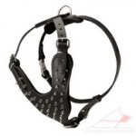 Spiked Dog Harness for Large Dogs | Soft Padded Dog Harness
