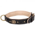 Soft Padded Leather Dog Collar with Elegant Braids and Medals