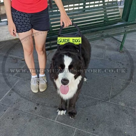 Black Nylon Guide Dog Harness with Handle for Assistance Dogs
