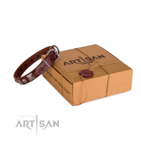 Extravagant Brown Leather Dog Collar With ID Plate FDT Artisan