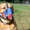 Labrador Dog Muzzle of Special Construction "American Style"