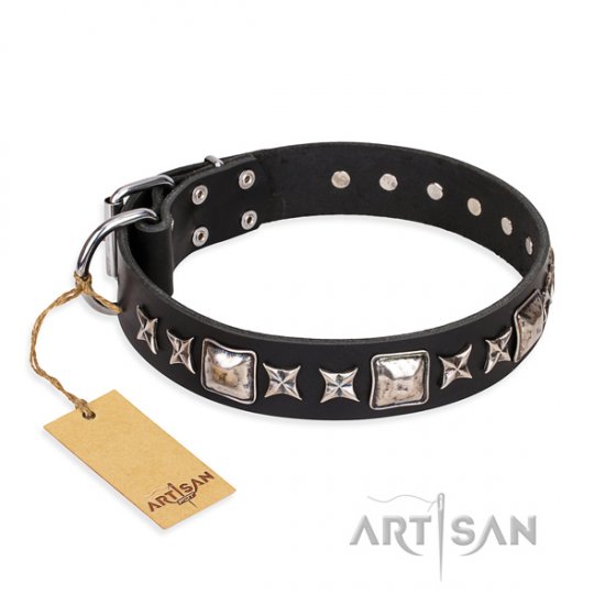 New Decorated Dog Collar FDT Artisan 'Space Walk' - Click Image to Close