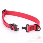 Quick Release Dog Collar