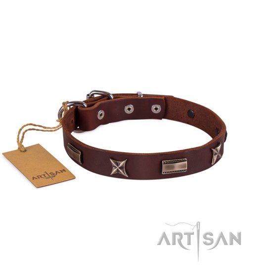 Handmade Strong Brown Studded Dog Collar FDT Artisan