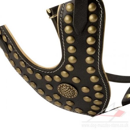 Royal Leather Dog Harness for Labrador Retriever