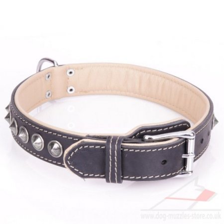 "Cone" Elegant Black Real Leather Dog Collar With Shiny Studs