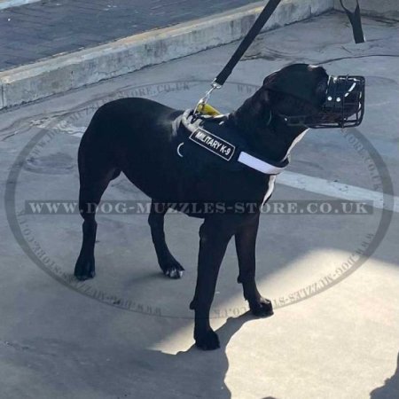 Special Rubberized Basket Dog Muzzle for Cane Corso