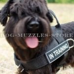 Giant/Miniature Schnauzer Dog Harness No Pull Front Clip