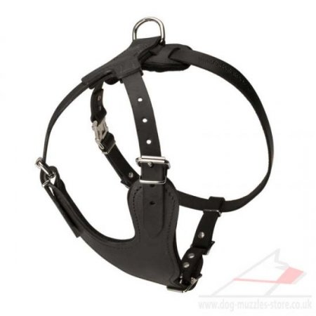 The Best Dog Harness for Spaniel UK Soft Padded Leather