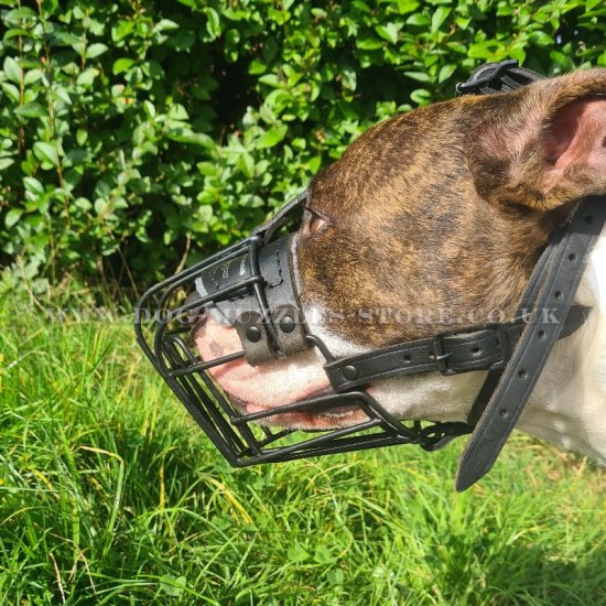 American XL Bully Muzzle Size Black Covered Wire Basket