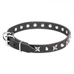 Great Leather Dog Collar "Blazing Stars"