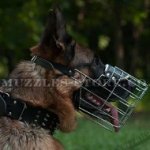 The Best German Shepherd Muzzle Size That Allows Drinking
