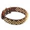 Flashing Spiked Dogs Collars - NEW Fabulous Design!