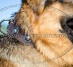 Perfect Dog Walking Collar for German Shepherd Dogs