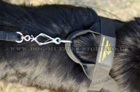Newfoudland Harness to Stop Dog Pulling on a Leash