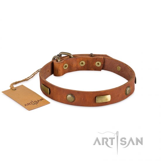 Leather Dog Collar by FDT Artisan