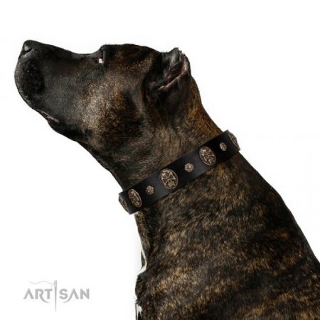 Adorable Black Leather Dog Collar "Pirate’s Spell" FDT Artisan
