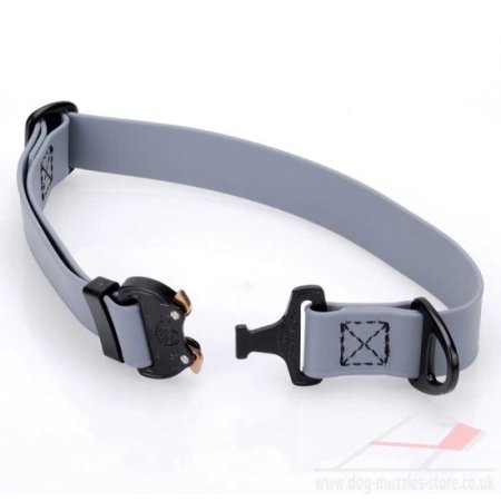 1" Medium to Large Waterproof Dog Collar with Metal Clasp