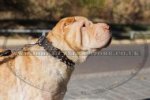 "Perfect Look" Ultramodern Brown Leather Dog Collar For Shar Pei