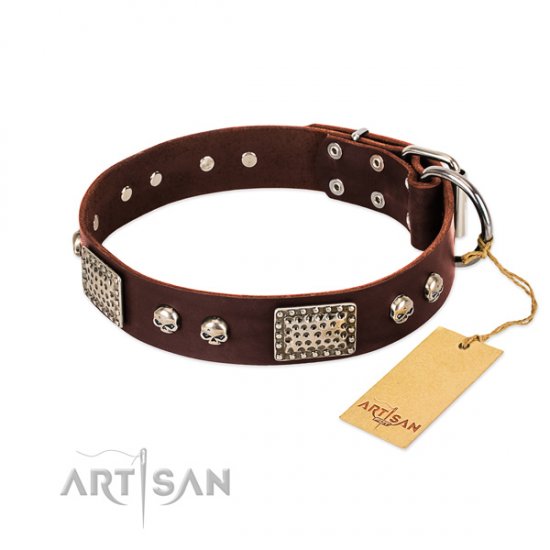 Beautiful Brown Dog Collar FDT Artisan 'Pirate Skull' - Click Image to Close