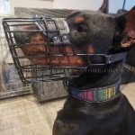 Best Doberman Basket Muzzle for Dogs Comfort&Safety Any Weather