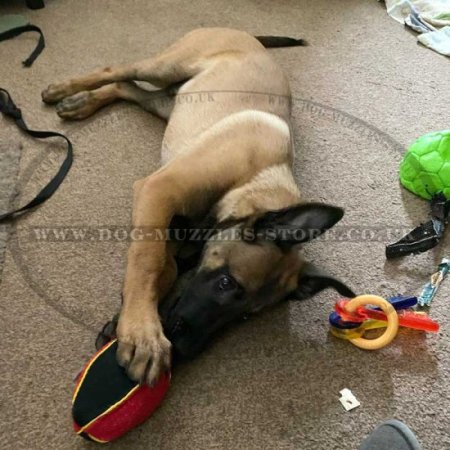 Soft Dog Bite Tug Toy with a T-Handle