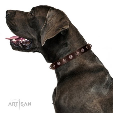 Exclusive Brown Leather Dog Collar With Nameplate UK