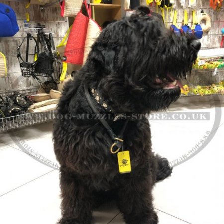 Aggressive online dog collar