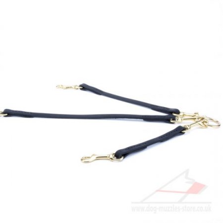 New! Triple Dog Slip Lead "Inseparable Friends"