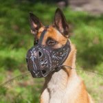 Large Dog Muzzle for K9 Dogs | Belgian Malinois Muzzle Painted