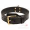 Dog Training Collar for Medium and Large Dogs, 2 Ply Leather