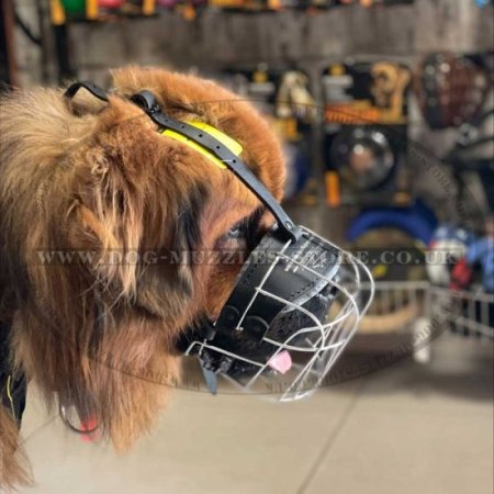 Buy Caucasian Shepherd Dogs Muzzles Individual Basket Form!