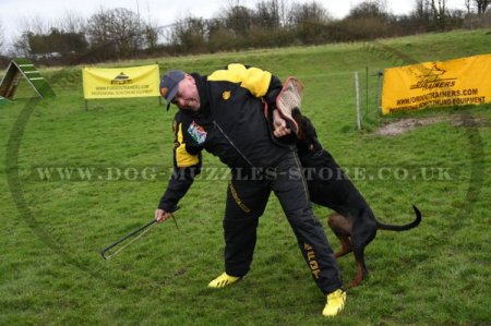 Anti-Scratch Suit for Dog Training with Removable Sleeve